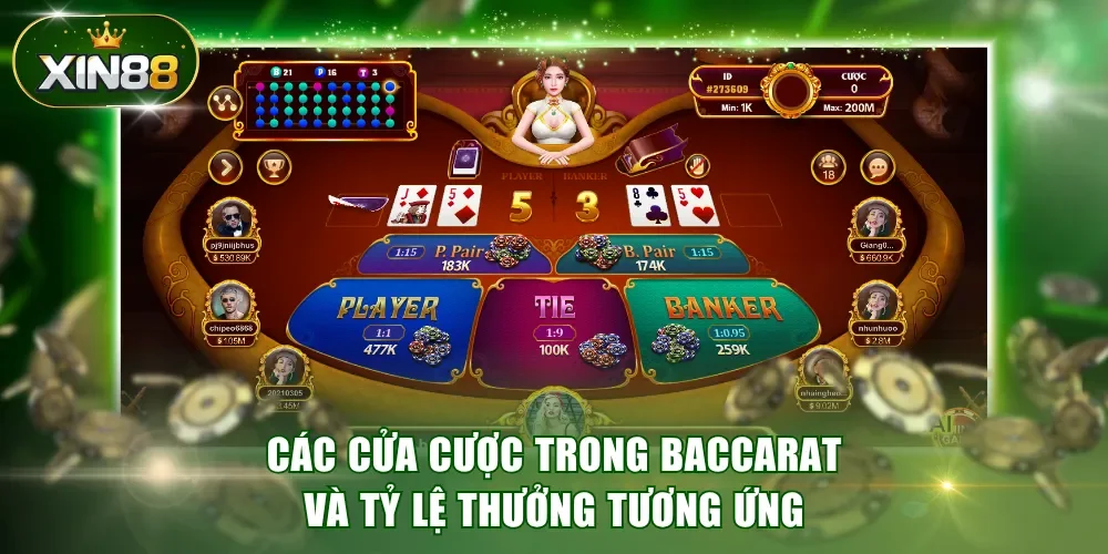 Làm quen các cửa cược trong Baccarat và tỷ lệ thưởng tương ứng